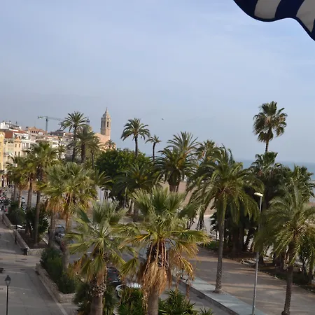 플라트하도르 3* 시체스